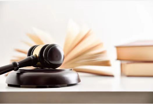 武汉中院：驳回杨某媛的全部诉讼请求